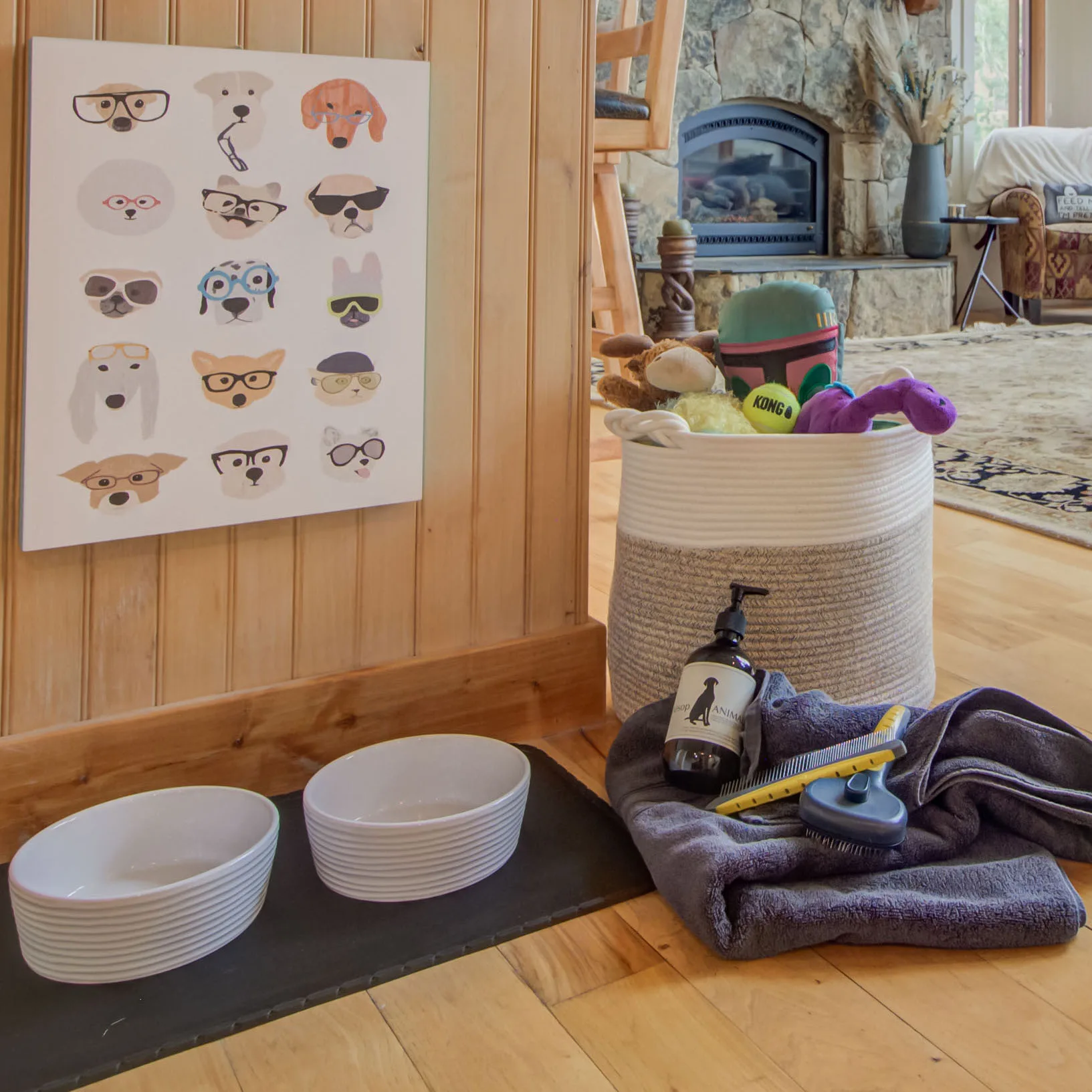 The chalet's dog amenities: bowls, towels, toys, and grooming kit
