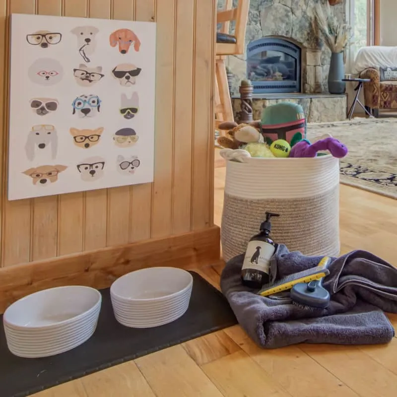 Dog welcome kit — bowls, toys, towels, comb